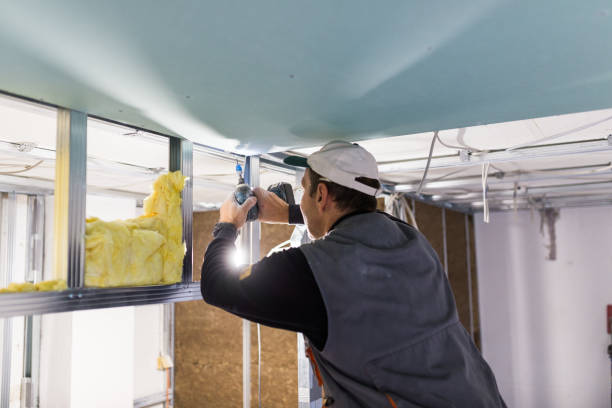 Best Insulation Removal  in Tenino, WA
