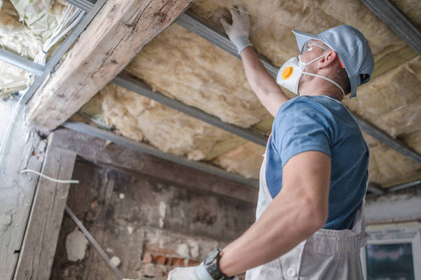 Best Crawl Space Insulation  in Tenino, WA