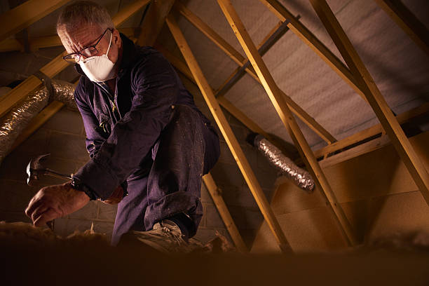Best Insulation for New Construction  in Tenino, WA