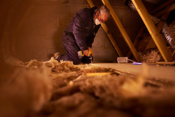 Best Home Insulation Services  in Tenino, WA